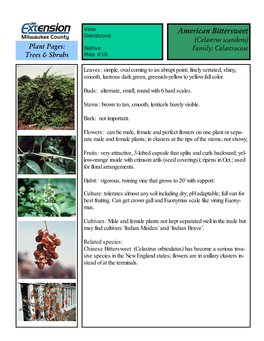 American Bittersweet Deciduous (Celastrus Scandens) Plant Pages: Native Family: Celastraceae Trees & Shrubs Map #10