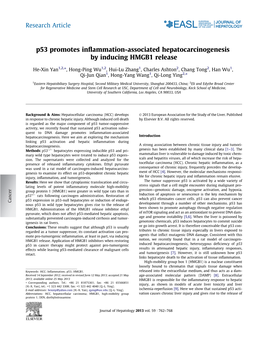 P53 Promotes Inflammation-Associated