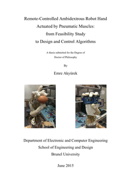 Remote-Controlled Ambidextrous Robot Hand Actuated by Pneumatic Muscles: from Feasibility Study to Design and Control Algorithms