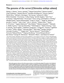 The Genome of the Vervet (Chlorocebus Aethiops Sabaeus)