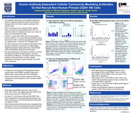 Human Antibody-Dependent Cellular Cytotoxicity-Mediating Antibodies Do Not Recruit Non-Human Primate CD20+ NK Cells Stephanie Asdell, R