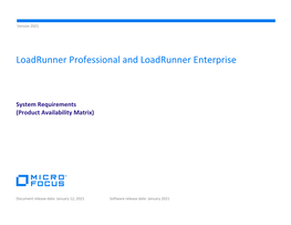 Loadrunner Professional and Loadrunner Enterprise System