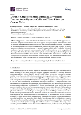 Distinct Cargos of Small Extracellular Vesicles Derived from Hypoxic Cells and Their Eﬀect on Cancer Cells