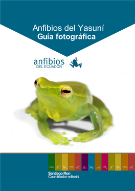 Anfibios Del Yasuní Guía Fotográfica