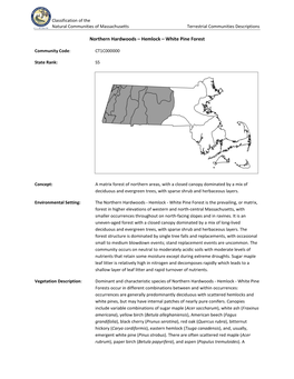 Northern Hardwoods – Hemlock – White Pine Forest