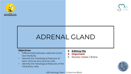 Adrenal Gland