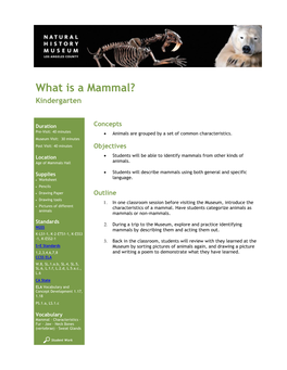 What Is a Mammal? Kindergarten