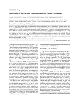 Identification of the Porcine Cytomegalovirus Major Capsid Protein Gene