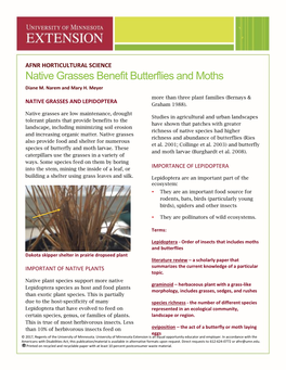 Native Grasses Benefit Butterflies and Moths Diane M