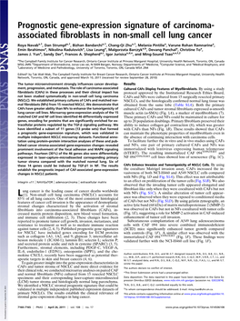 Associated Fibroblasts in Non-Small Cell Lung Cancer