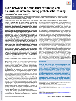 Brain Networks for Confidence Weighting and Hierarchical