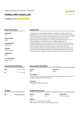 PSMB9/LMP2 Rabbit Pab