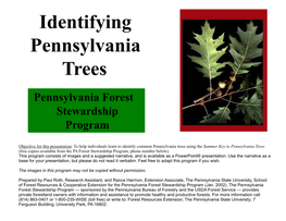 Identifying PA. Trees