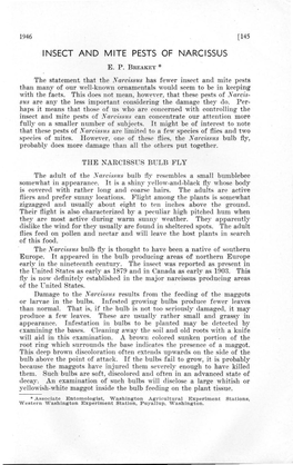 Insect and Mite Pests of Narcissus E