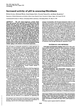 Increased Activity of P53 in Senescing Fibroblasts