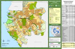 Aménagement Forestier Au Gabon