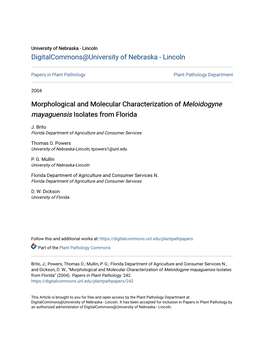 Morphological and Molecular Characterization of <I>Meloidogyne