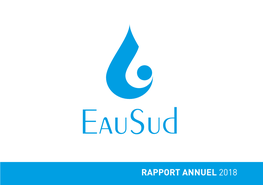 Rapport Annuel 2018 1