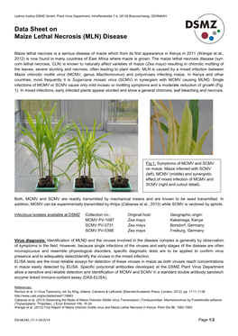 Data Sheet on Maize Lethal Necrosis (MLN) Disease