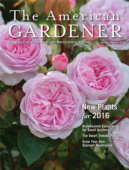 Gardenergardener®