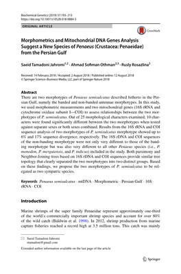 Morphometrics and Mitochondrial DNA Genes Analysis Suggest a New Species of Penaeus (Crustacea: Penaeidae) from the Persian Gulf