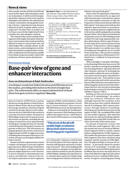 Base-Pair View of Gene and Enhancer Interactions