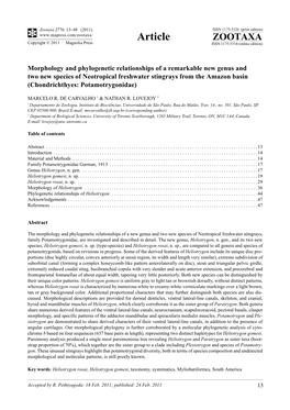 Morphology and Phylogenetic Relationships of a Remarkable New