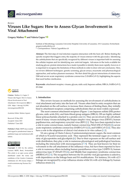 Viruses Like Sugars: How to Assess Glycan Involvement in Viral Attachment