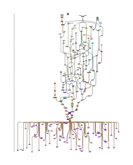 Familytree.Lance F. Bosart.Pdf