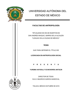 Ver Documento