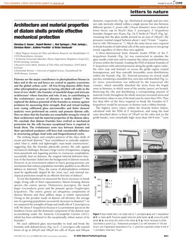 Architecture and Material Properties of Diatom Shells Provide Effective