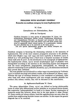 Hyphomycetes Schimmelcultures