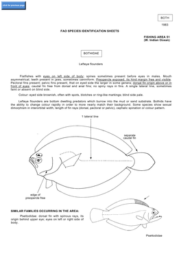 BOTH 1983 FAO SPECIES IDENTIFICATION SHEETS FISHING AREA 51 (W. Indian Ocean) BOTHIDAE Lefteye Flounders Flatfishes with Eyes On