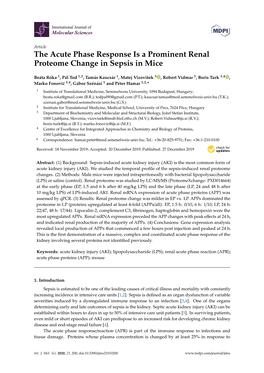 The Acute Phase Response Is a Prominent Renal Proteome Change in Sepsis in Mice