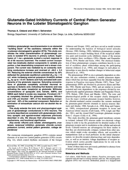 Glutamate-Gated Inhibitory Currents of Central Pattern Generator Neurons in the Lobster Stomatogastric Ganglion