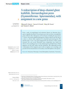 Gymnotiformes: Apteronotidae), with Assignment to a New Genus