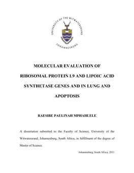 Molecular Evaluation of Ribosomal Protein L9 And