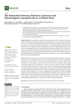 The Interaction Between Tribolium Castaneum and Mycotoxigenic Aspergillus ﬂavus in Maize Flour