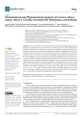 Histochemical and Phytochemical Analysis of Lamium Album Subsp