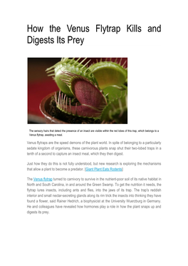 How the Venus Flytrap Kills and Digests Its Prey