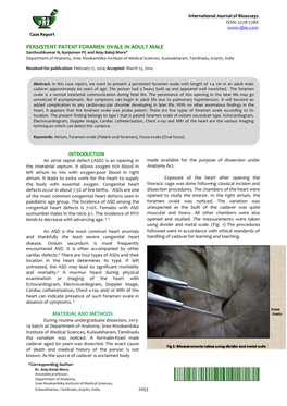 Persistent Patent Foramen Ovale in Adult Male