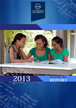 2013 Annual Report | 1