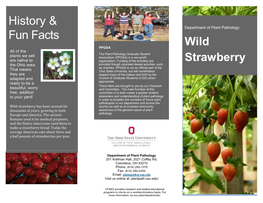 Wild Strawberry