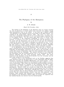 The Phylogeny of the Homoptera