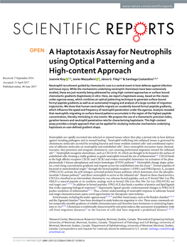 A Haptotaxis Assay for Neutrophils Using Optical Patterning and a High-Content Approach Received: 5 September 2016 Joannie Roy 1,2, Javier Mazzaferri 1, János G
