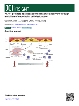 KLF11 Protects Against Abdominal Aortic Aneurysm Through Inhibition of Endothelial Cell Dysfunction