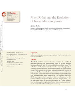 Micrornas and the Evolution of Insect Metamorphosis