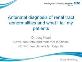 Antenatal Diagnosis of Renal Tract Abnormalities and What I Tell My Patients