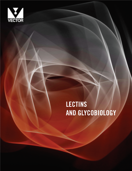 Lectins and Glycobiology State of the Art Labeling & Detection Systems