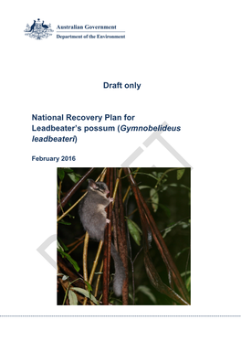 Draft National Recovery Plan for Leadbeater's Possum